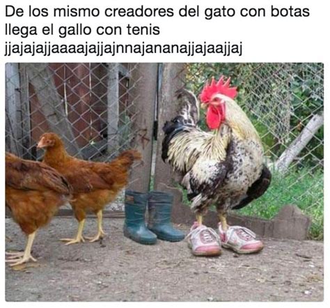 Gallina Meme