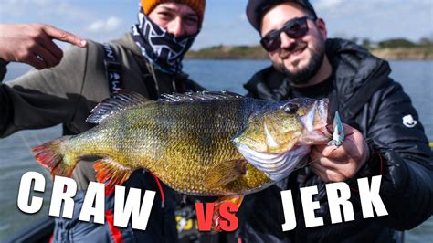 Craw Vs Jerk XXL Barsche Mit Toon Van Ham YouTube