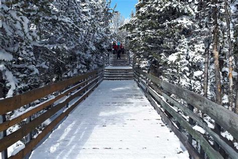 Hike The Sulphur Mountain Trail In Banff Canada