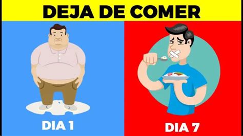 Cuánto tiempo puede aguantar una persona sin comer Como Cocinar y Comer