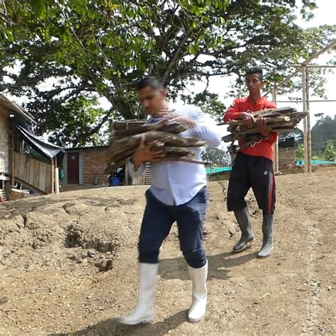 Humilde Campesino Cumplio el SUEÑO de su vida, TE HARA LLORAR | Humilde ...