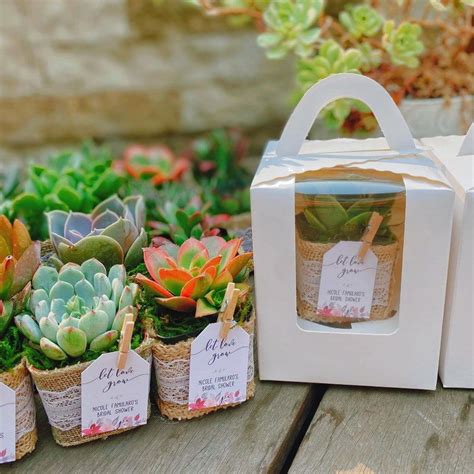 Succulent Party Favors Succulent Gifts Mint Wedding Favors Bridal