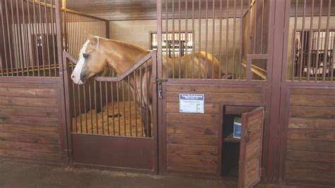 Spring Spruce-Up: Farm and Ranch Equipment Guide - Western Horseman