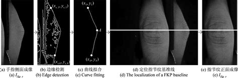 手指双模态特征图像感兴趣区域稳定定位方法研究