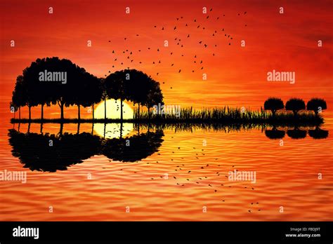 Trees Arranged In A Shape Of A Guitar On A Sunset Background Music