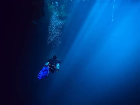 Cenote Angelita El Bosque Sumergido Entre R Os M Xico Desconocido