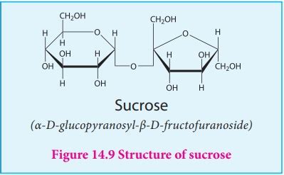 Disaccharides - Biomolecules | Chemistry