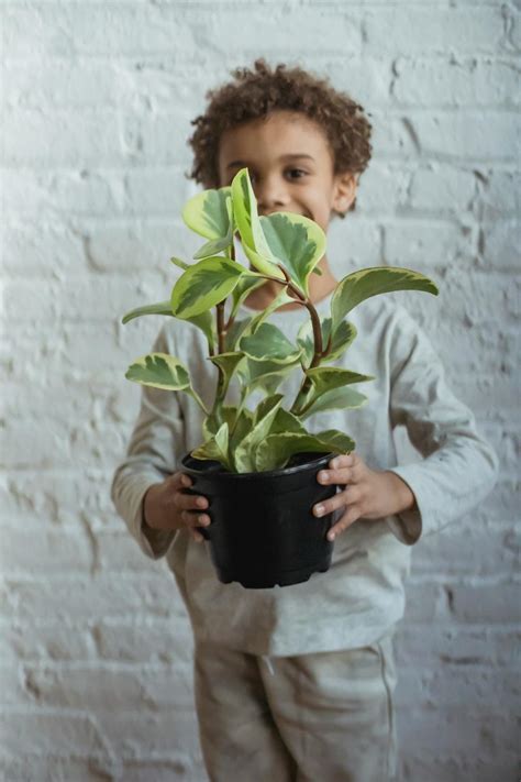 Black boy with potted plant in hands · Free Stock Photo