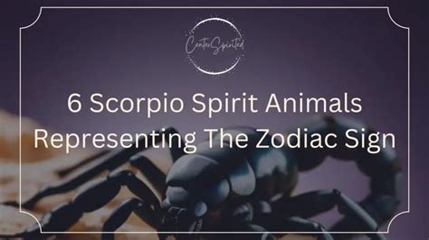 6 Virgo Spirit Animals That Represent The Zodiac Sign