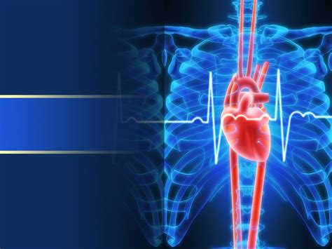 Cardiology Ppt Template Free Printable Templates Your Go To Resource