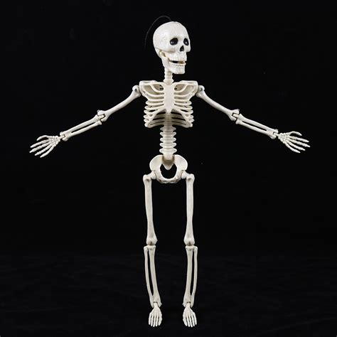 Fuebueo Halloween Skeleton Poseable Plastic Human Bones Standing Human