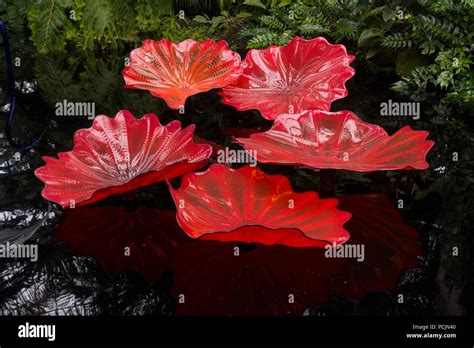 New York Botanical garden Bronx Stock Photo - Alamy