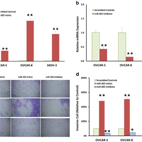 MiR 205 Upregulation Promotes Ovarian Cancer Cells Invasion In Vitro A