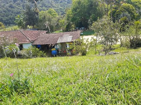 Fazenda S Tio M Em Centro Em Natividade Da Serra Por R