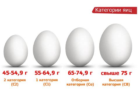 Сколько весит яйцо: мерная таблица куриных яиц по категориям