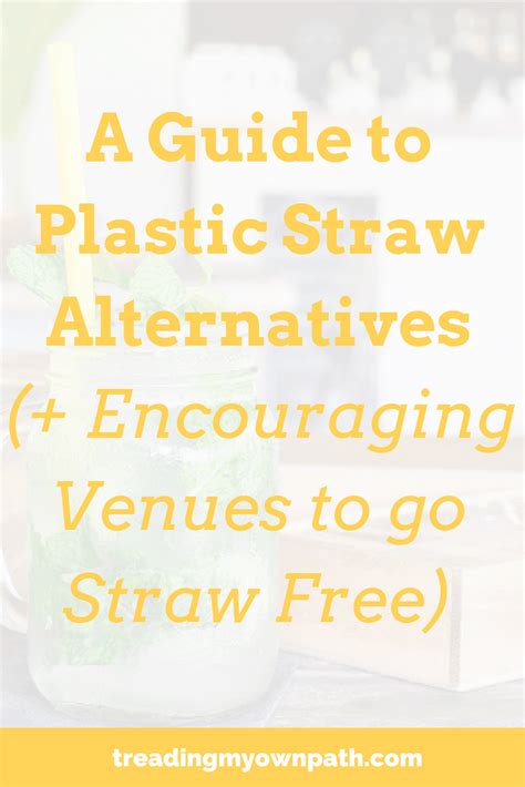 A Guide To Plastic Straw Alternatives Encouraging Venues To Go Straw