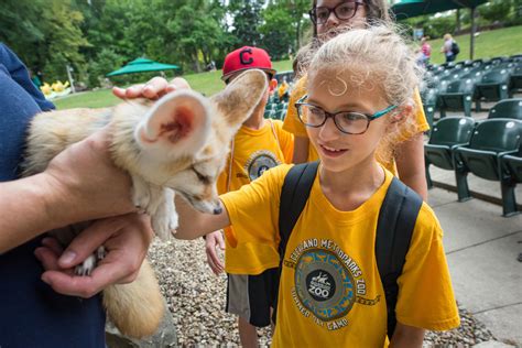 Five Reasons To Send Your Kids To Summer Day Camp At The Zoo