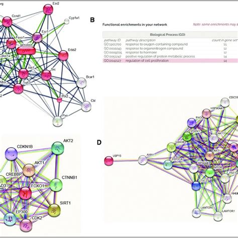 Mechanism prediction of genistein induces TGF β1 protein expression