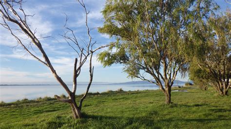 Land Air Water Aotearoa Lawa Te Waihoralake Ellesmere