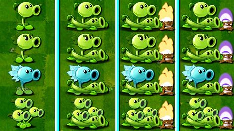 Tournament All Peashooter Torchwood Pea Vine Who Will Win Pvz