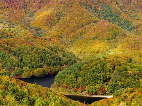 K K K Rivers Forests Seasons Autumn Rare Gallery Hd