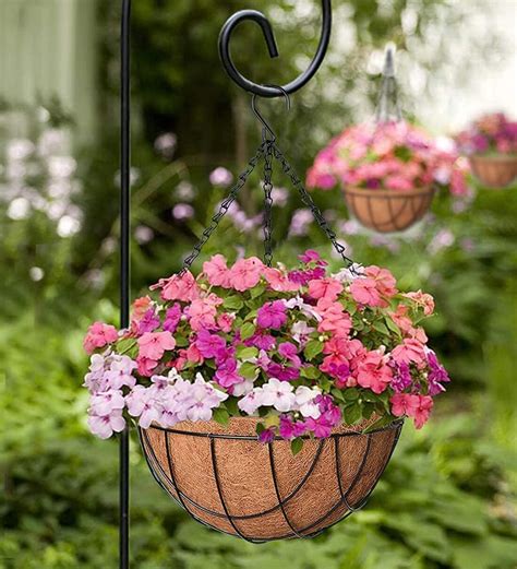 Buy Brown Coir Pack Of Hanging Basket Planter By Coirgarden At