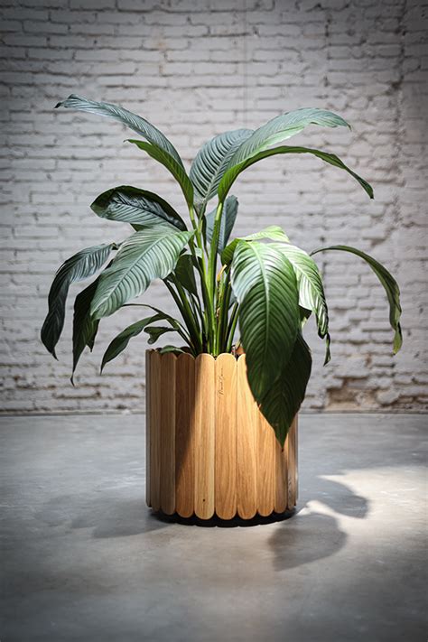 Wooden planter series :: Behance