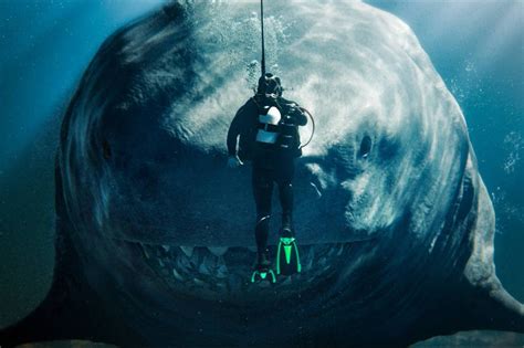 Filme Do Tubarão Completo - 'Tubarão', de Steven Spielberg, completa 50 anos; entenda o fenômeno ...