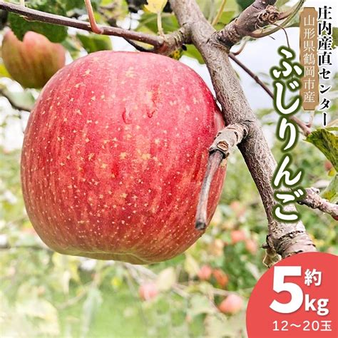 【令和6年産 先行予約】家庭用ふじりんご 約5kg12～20玉入箱 山形県鶴岡市産 庄内産直センター 山形県鶴岡市 Jre