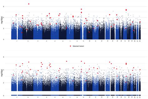 Manhattan Plots For Statistical Gwas Analysis With Plink Top Vs The