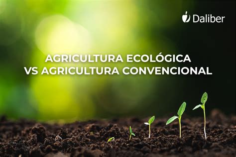 Agricultura Ecológica Vs Agricultura Convencional Daliber