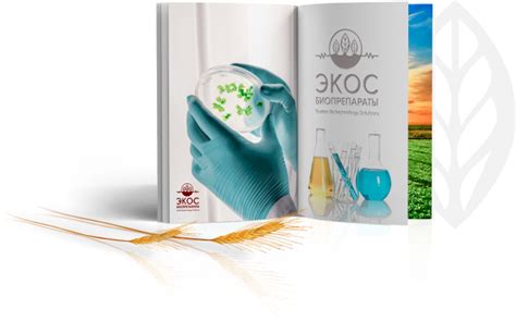 Контрактное производство «под ключ» - услуга «Экос Биопрепараты»