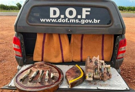 Mulher Pega Droga Na Vagina E Em T Buas De Carne Interior Campo Grande News