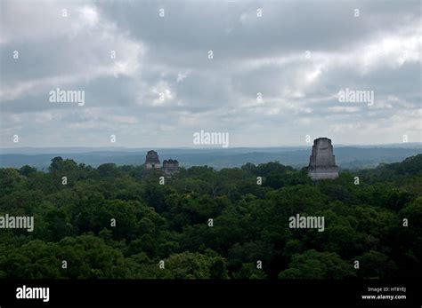 Tikal Pyramids / Tikal, Guatemala Stock Photo - Alamy