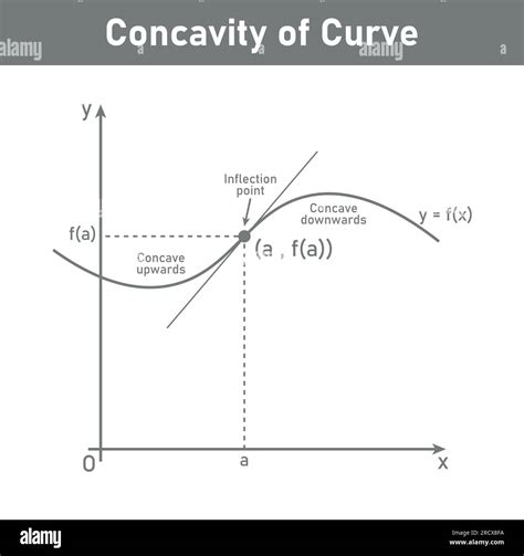 Concavity Of Curve Inflection Point Concave Down And Concave Up