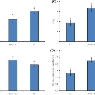 Chlorophyll A Fluorescence Parameters And Net Photosynthetic Rate In