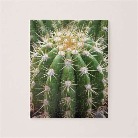 Arizona Cactus Jigsaw Puzzle Zazzle