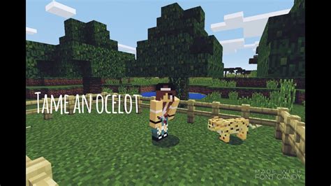 How To Tame An Ocelot Minecraft PE YouTube