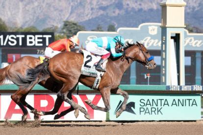 2023 Robert B Lewis Stakes Replay Newgate Proves To Be Best Baffert