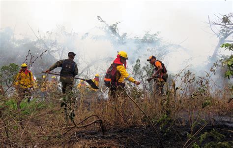 Cipca Apoya La Capacitación Interinstitucional De Combate De Incendios