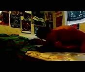 Filmy Porno Spanie Porn