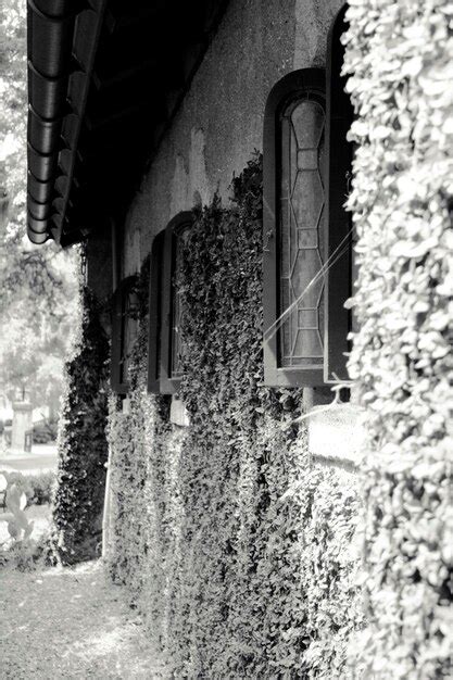 Premium Photo Exterior Of Ivy Covered House