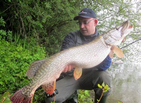 Best Pike Lures – Fishing For Trophy Northern Pike