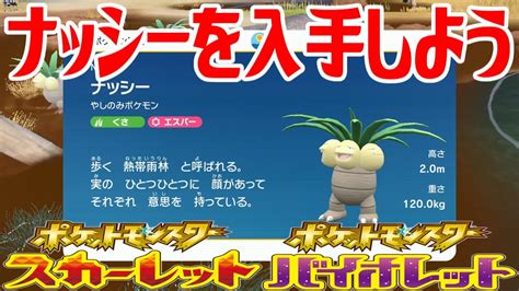 【ポケモンsv】ナッシーを入手しよう【ポケットモンスター スカーレット・バイオレット ゼロの秘宝 藍の円盤】pocket Monsters