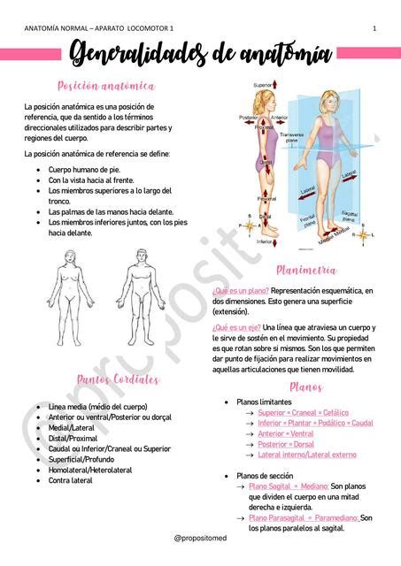 Generalidades de anatomía Candela uDocz