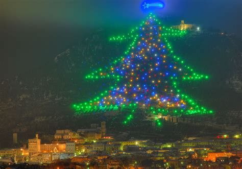 Gubbio Lalbero Di Natale Pi Grande Del Mondo Sar Acceso Da Rondine