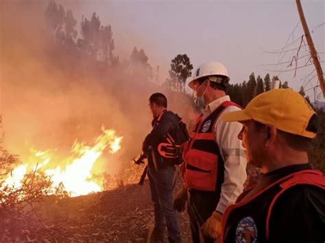 Incendios Forestales En Cusco Siguen Destruyendo La Flora Y Fauna Silvestre De La Zona Infobae