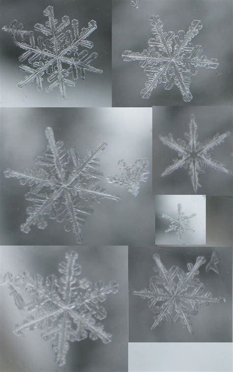 Snowflakes Close up by TalonDoodle on DeviantArt