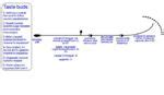 Gustatory System - Anatomy & Physiology - WikiVet English