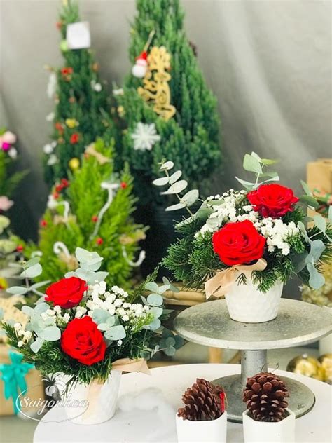 chau hoa hong mini qua tang shop hoa tuoi